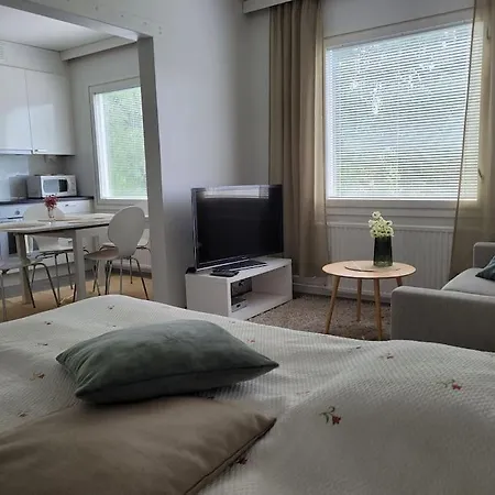 Waeinoenkatu 3 Yksioe Апартаменты Лаппеэнранта